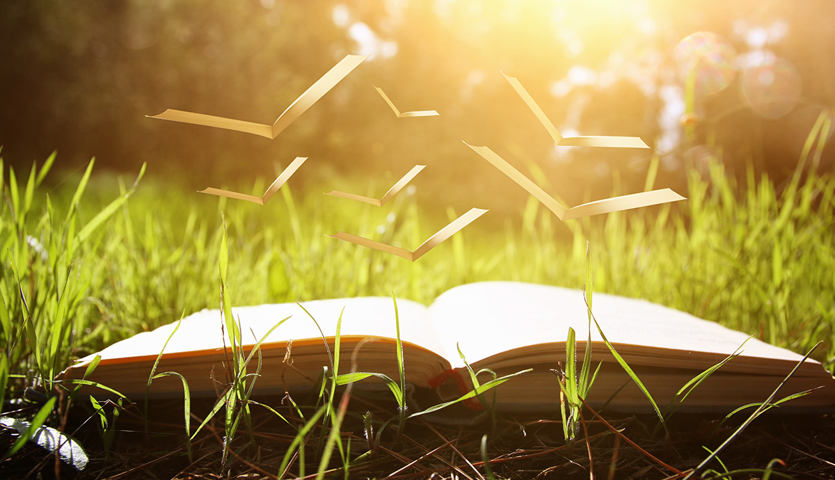 Besprechen von Krankheiten - Buch im Gras mit aufsteigenden Schnipseln